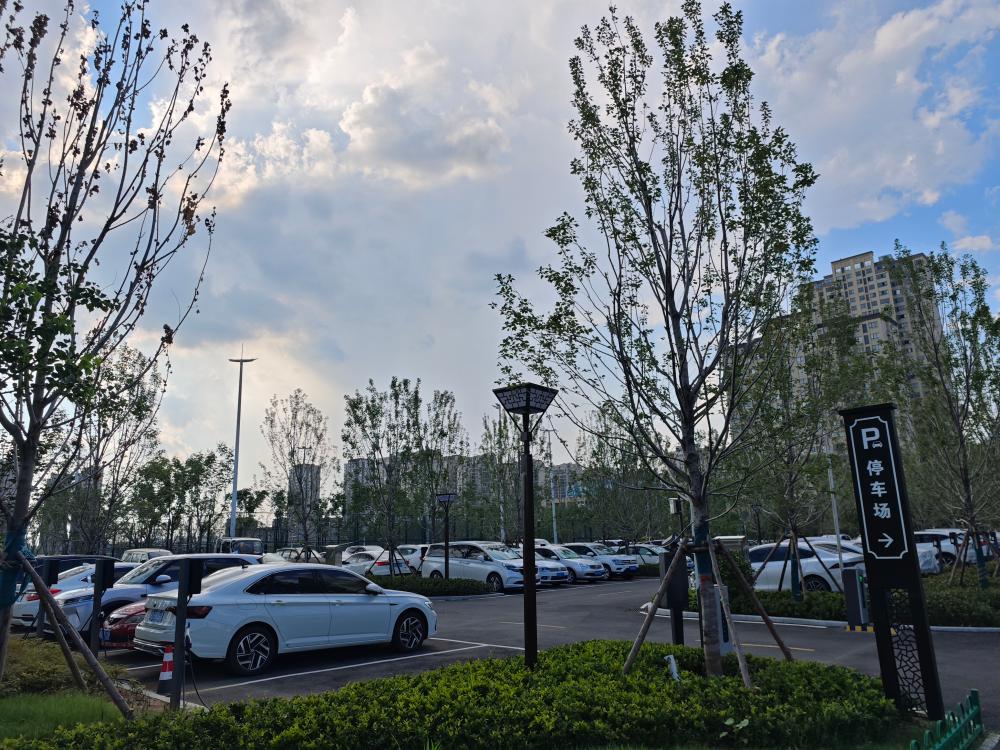 市住建局实施便民停车行动  新增城市停车泊位